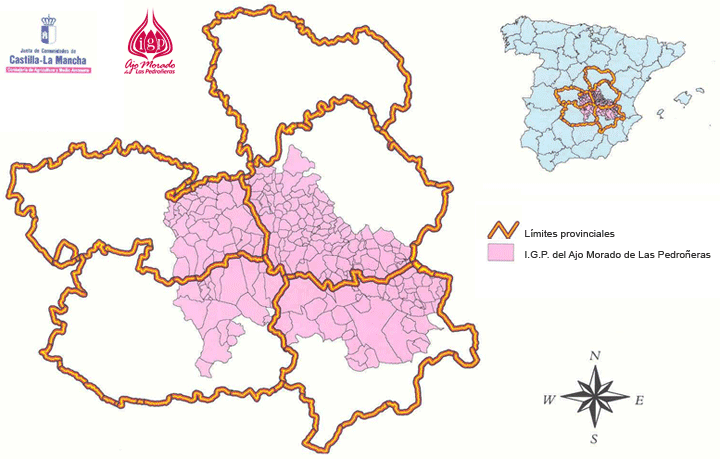 Zona de Producción del Ajo Morado de Las Pedroñeras