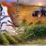 AGRICOLA