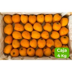 níspero, nísperos, fruta de temporada, fruta fresca, fruta saludable, fruta de primavera, fruta mediterránea, fruta dulce, fruta jugosa, níspero propiedades, níspero beneficios, comprar nísperos, níspero online