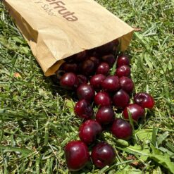 cereza picota, picotas del Jerte, cereza picota online, comprar cereza picota, cerezas sin rabito, cereza dulce, picotas a domicilio, fruta de temporada, cereza española, picota fresca, cereza natural