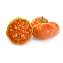 tomate rosa, tomate grande rosa, tomate online, comprar tomate online, comprar tomate rosa online