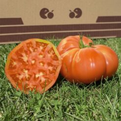 tomate rosa, tomate grande rosa, tomate online, comprar tomate online, comprar tomate rosa online