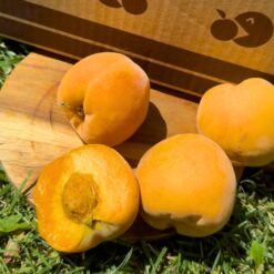 melocotón amarillo, melocotones amarillos, comprar melocotón amarillo, melocotón online, melocotón amarillo online, melocotón a domicilio, fruta de verano