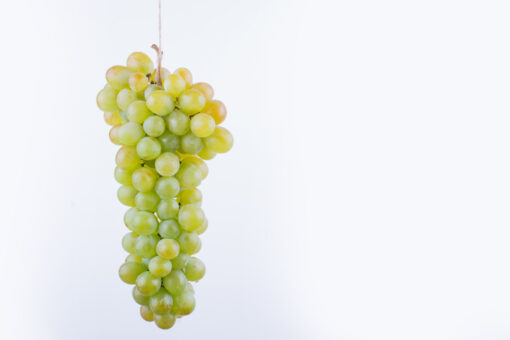 uva de mesa, uvas, uva fresca, fruta de temporada, uva sin semillas, uva con semillas, uva blanca, uva roja, uvas dulces, uvas naturales, fruta saludable, uvas a domicilio, comprar uvas, uvas online, uvas directas del campo