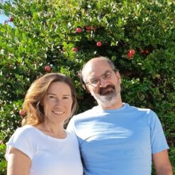 Comprar mango online, Mangos a domicilio, Mango fresco online, Mango natural a domicilio, Mango tropical online, mango españa, mango online