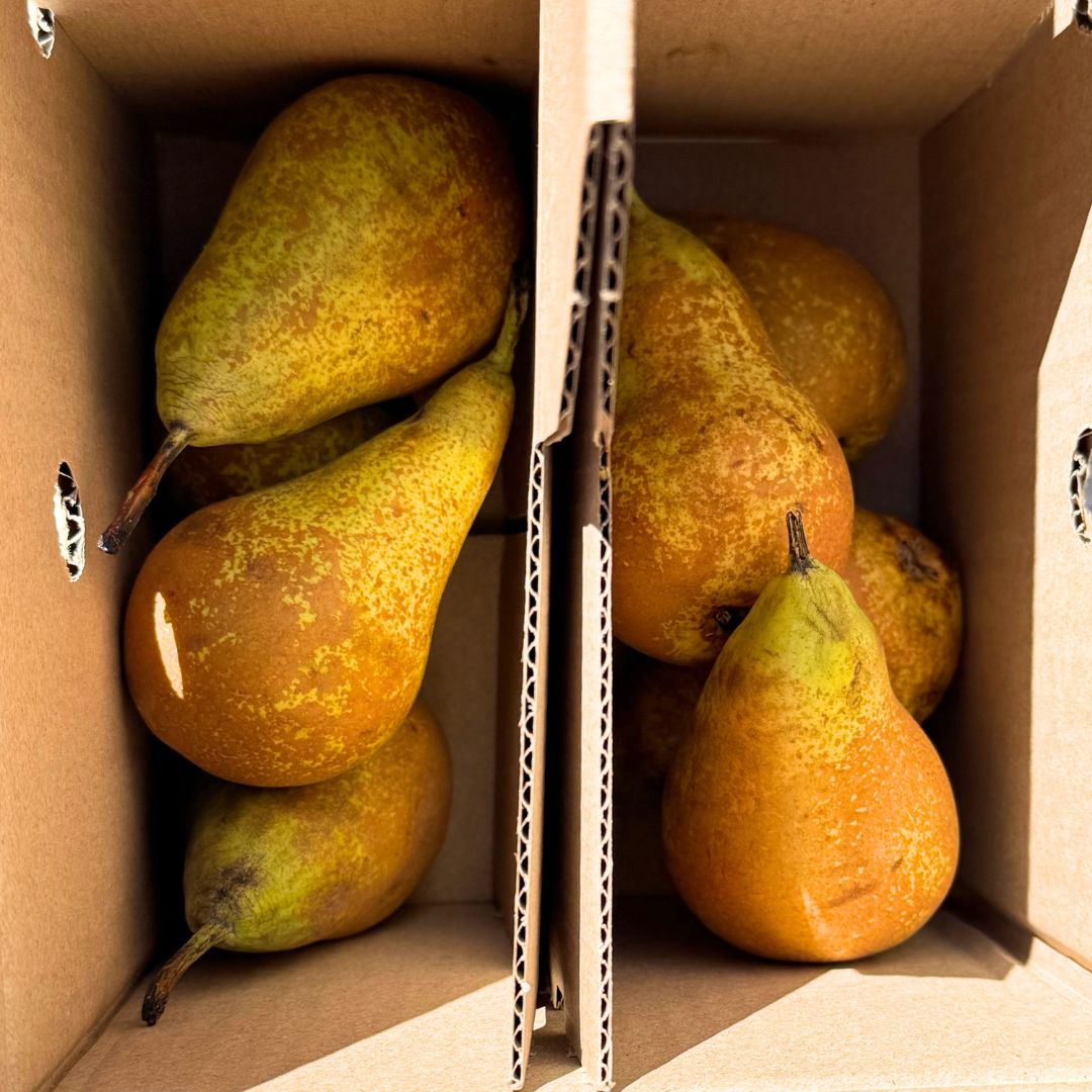 pera conferencia, peras conferencia, comprar pera conferencia online, peras a domicilio, pera fresca, pera natural, fruta de temporada, peras españolas, pera online, fruta fresca online