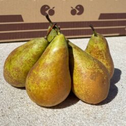 pera conferencia, peras conferencia, comprar pera conferencia online, peras a domicilio, pera fresca, pera natural, fruta de temporada, peras españolas, pera online, fruta fresca online