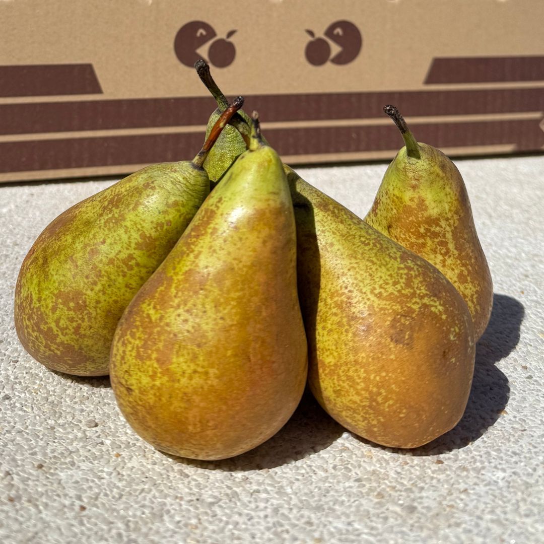 pera conferencia, peras conferencia, comprar pera conferencia online, peras a domicilio, pera fresca, pera natural, fruta de temporada, peras españolas, pera online, fruta fresca online