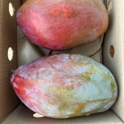 Comprar mango online, Mangos a domicilio, Mango fresco online, Mango natural a domicilio, Mango tropical online, mango españa, mango online
