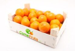 Naranjas de Valencia