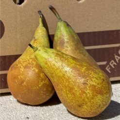 pera conferencia, peras conferencia, comprar pera conferencia online, peras a domicilio, pera fresca, pera natural, fruta de temporada, peras españolas, pera online, fruta fresca online