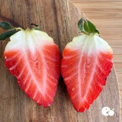 comprar fresones online, fresones a domicilio, fresones frescos, fresones de temporada, fresones naturales, fresones ecológicos, fresones de calidad, fresones dulces, fresones premium, fresones grandes, fresones jugosos, fresones por internet,