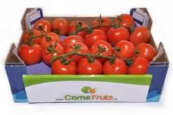 caja tomate rama - Tomate en rama
