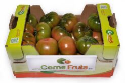 caja tomate tigre - Tomate tigre