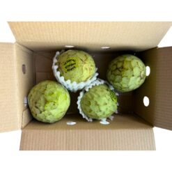 Chirimoya, fruta tropical, anona, fruta exótica, dulce, cremosa, rica en fibra, vitamina C, antioxidante, superalimento, saludable, digestiva, potasio, magnesio, calcio, bajo en grasas, propiedades relajantes, postre natural, suave, nutritiva, energética.