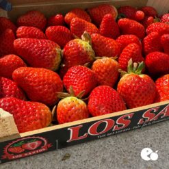 comprar fresones online, fresones a domicilio, fresones frescos, fresones de temporada, fresones naturales, fresones ecológicos, fresones de calidad, fresones dulces, fresones premium, fresones grandes, fresones jugosos, fresones por internet,