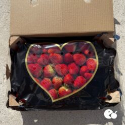 comprar fresones online, fresones a domicilio, fresones frescos, fresones de temporada, fresones naturales, fresones ecológicos, fresones de calidad, fresones dulces, fresones premium, fresones grandes, fresones jugosos, fresones por internet,