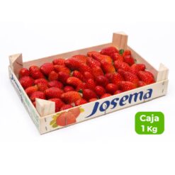 comprar fresones online, fresones a domicilio, fresones frescos, fresones de temporada, fresones naturales, fresones ecológicos, fresones de calidad, fresones dulces, fresones premium, fresones grandes, fresones jugosos, fresones por internet,