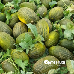 melón, melon, melón verde, melón piel sapo, melon online, el mejor melon