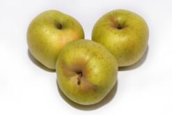 reineta - Manzana Reineta