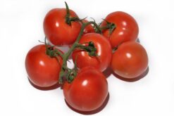 tomate rama - Mix de tomates