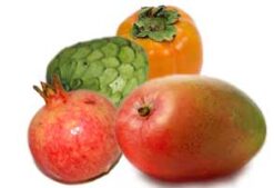 mix temporada jpg - Cesta personalizada