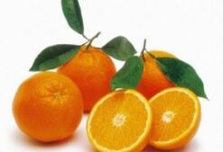 naranjas1 293x200 jpeg - Naranjas de zumo