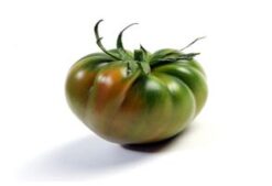 tomate raf 293x200 jpg - Mix de tomates
