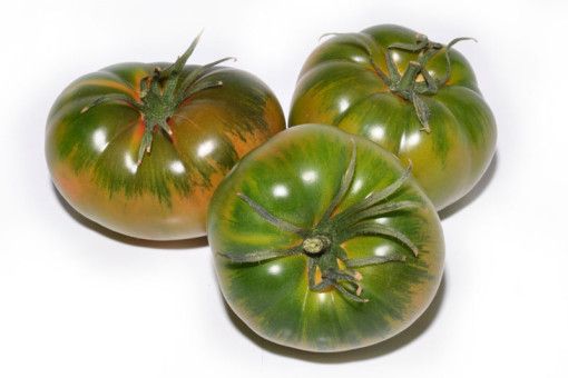 Variedades de tomate