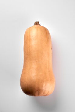 calabaza. calabaza online. calabaza larga. calabaza españa, calabaza clara, cacahuete