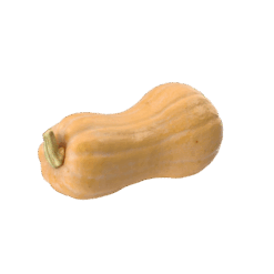 Calabaza cacahuete