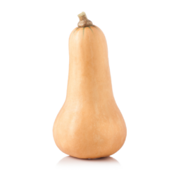 calabaza. calabaza online. calabaza larga. calabaza españa, calabaza clara, cacahuete