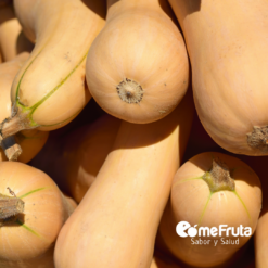 calabaza. calabaza online. calabaza larga. calabaza españa, calabaza clara