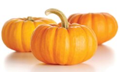 calabazas halloween - Calabazas, Boniatos, Castañas, Miel