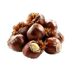 castana, castaña, castaña comestible, castaña fruto, castaña fruta, castaña online, beneficios castaña, que es la castaña