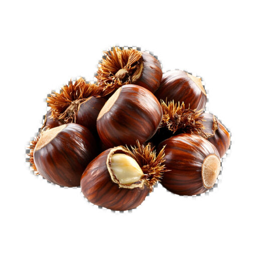castana, castaña, castaña comestible, castaña fruto, castaña fruta, castaña online, beneficios castaña, que es la castaña