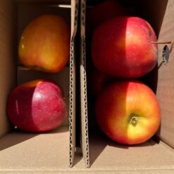 manzanas de temporada, manzanas frescas, manzanas españolas, comprar manzanas online, manzanas a domicilio, fruta de temporada, manzanas naturales, manzanas recién cosechadas, manzanas sin cámaras frigoríficas, manzanas directas del agricultor, fruta sostenible