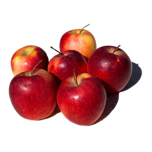 manzanas de temporada, manzanas frescas, manzanas españolas, comprar manzanas online, manzanas a domicilio, fruta de temporada, manzanas naturales, manzanas recién cosechadas, manzanas sin cámaras frigoríficas, manzanas directas del agricultor, fruta sostenible
