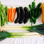 mix verdura basicos