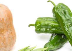 Pimientos verdes, calabaza y judias