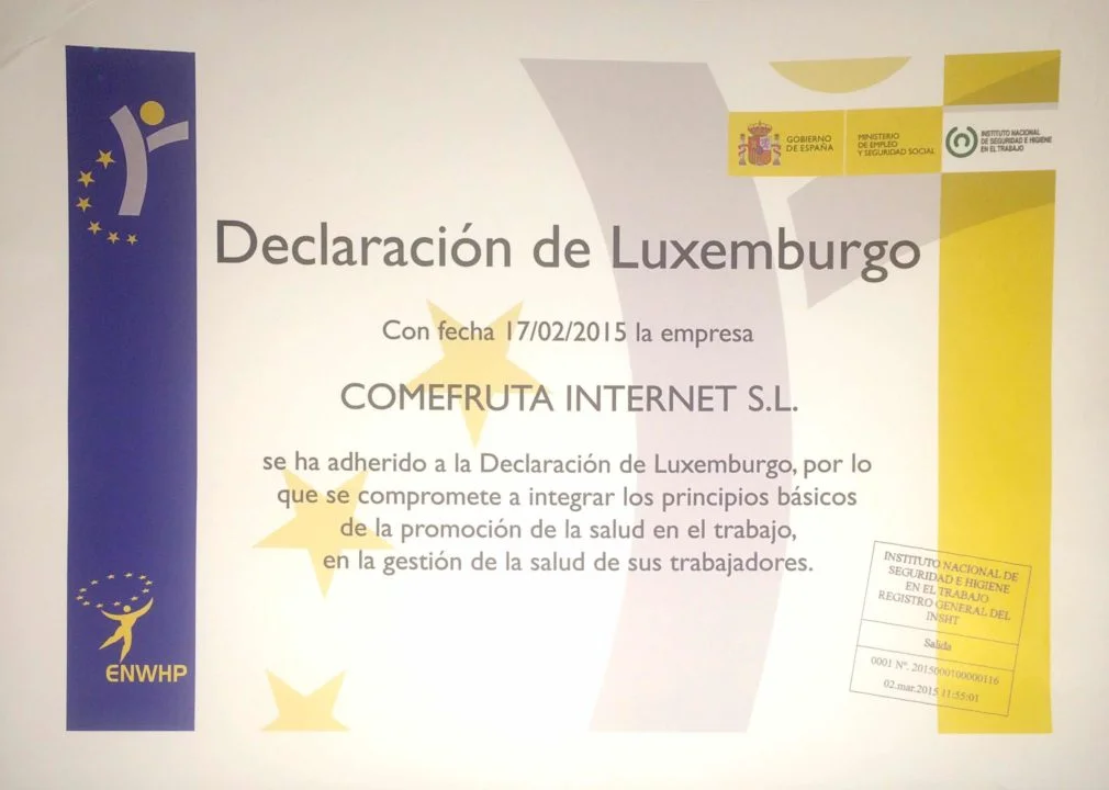 declaracion luxemburgo promocion de la salud en el trabajo - Declaración de Luxemburgo para la promoción de la salud en el trabajo