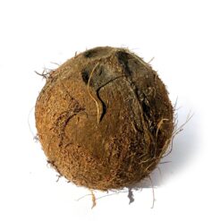 coco natural, comprar coco online, coco fresco, coco a domicilio, fruta tropical online, coco entero, coco comestible, beneficios del coco, coco saludable, coco natural a domicilio, coco sin procesar, coco fruta tropical, venta de coco online
