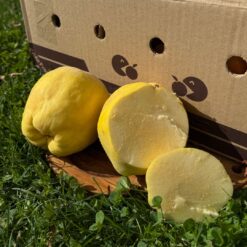 membrillo, comprar membrillo online, membrillo natural, membrillo fresco, membrillo de temporada, membrillo a domicilio, fruta de otoño, fruta natural online, membrillo español, fruta tradicional, membrillo fresco directo del agricultor, comprar membrillo de temporada online