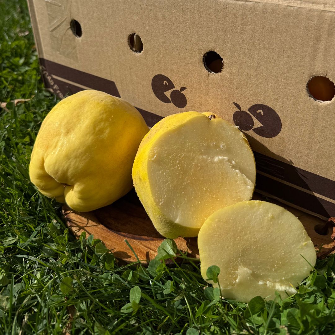 membrillo, comprar membrillo online, membrillo natural, membrillo fresco, membrillo de temporada, membrillo a domicilio, fruta de otoño, fruta natural online, membrillo español, fruta tradicional, membrillo fresco directo del agricultor, comprar membrillo de temporada online