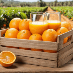 caja naranjas zumo - Naranjas de Zumo Valencia