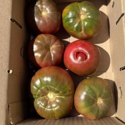 comprar tomate moruno, tomate moruno online, tomate moruno a domicilio, tomate moruno fresco, tomate moruno precio, tomate moruno mercado, tomate moruno tienda online, tomate moruno gourmet, tomate moruno ecológico, tomate moruno directo de la huerta, tomate moruno temporada