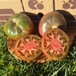 comprar tomate moruno, tomate moruno online, tomate moruno a domicilio, tomate moruno fresco, tomate moruno precio, tomate moruno mercado, tomate moruno tienda online, tomate moruno gourmet, tomate moruno ecológico, tomate moruno directo de la huerta, tomate moruno temporada