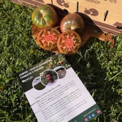 comprar tomate moruno, tomate moruno online, tomate moruno a domicilio, tomate moruno fresco, tomate moruno precio, tomate moruno mercado, tomate moruno tienda online, tomate moruno gourmet, tomate moruno ecológico, tomate moruno directo de la huerta, tomate moruno temporada