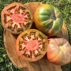 comprar tomate moruno, tomate moruno online, tomate moruno a domicilio, tomate moruno fresco, tomate moruno precio, tomate moruno mercado, tomate moruno tienda online, tomate moruno gourmet, tomate moruno ecológico, tomate moruno directo de la huerta, tomate moruno temporada