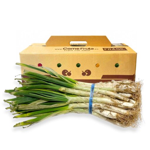 calcot, Calçots, comprar calcots, calcots online